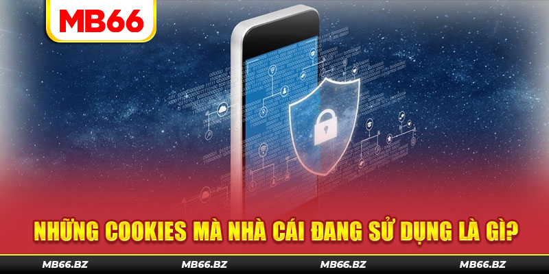 Những cookies mà chúng tôi đang sử dụng là gì?