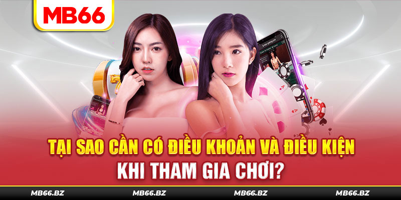 Tại sao cần có điều khoản và điều kiện khi tham gia chơi