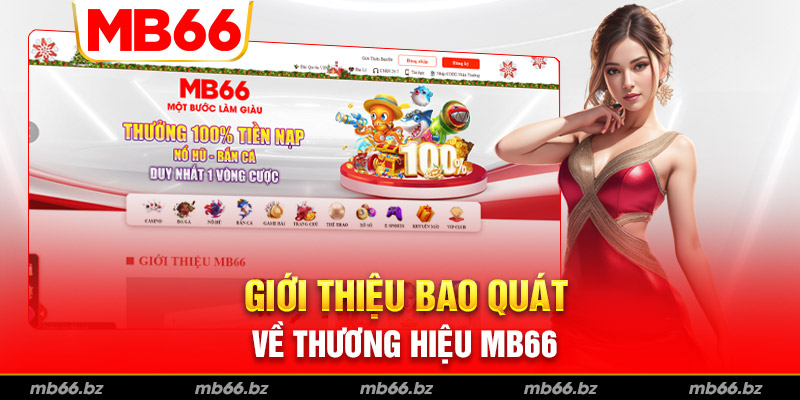 Tổng quan về thương hiệu MB66