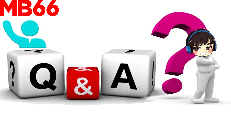 Những câu hỏi phổ biến về đá gà MB66 được giải đáp chi tiết