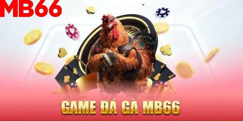 Đọc ngay để hiểu về sảnh đá gà MB66 chi tiết
